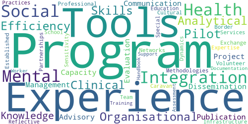 MiMIND Final Competency WordCloud